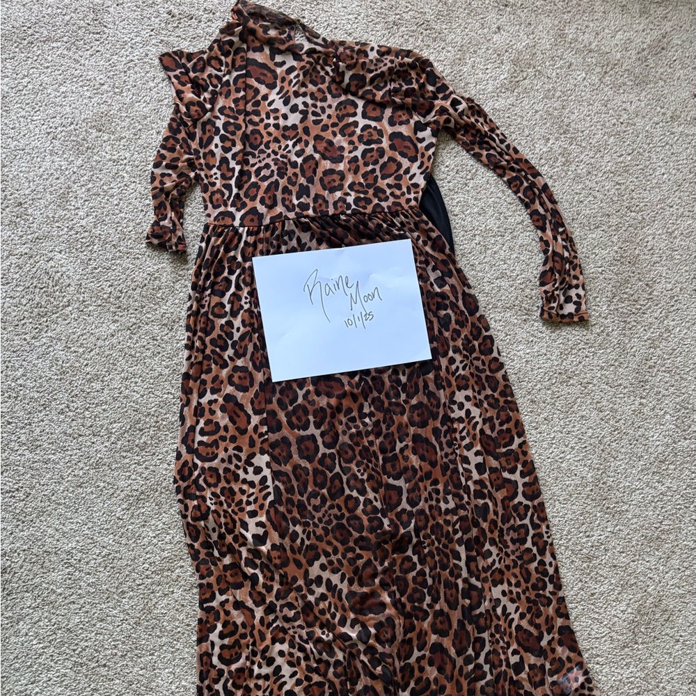 Leopard Print Long Sleeve Dress